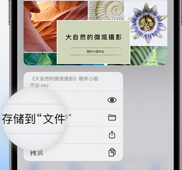 红花岗apple维修中心分享iPhone文件应用中存储和找到下载文件