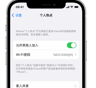 红花岗apple服务站点分享iPhone上个人热点丢失了怎么办 