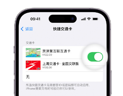 红花岗apple维修点分享iPhone上更换Apple Pay快捷交通卡手绘卡面 