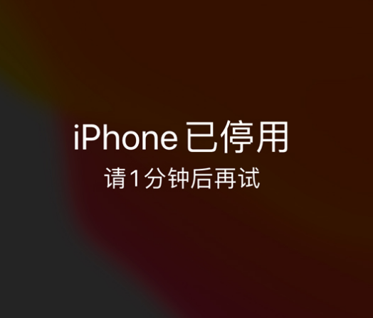 红花岗苹果手机维修分享:iPhone 显示“不可用”或“已停用”怎么办？还能保留数据吗？ 