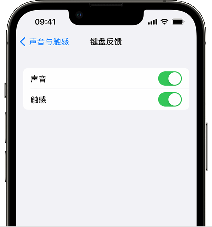 红花岗苹果14维修店分享如何在 iPhone 14 机型中使用触感键盘 