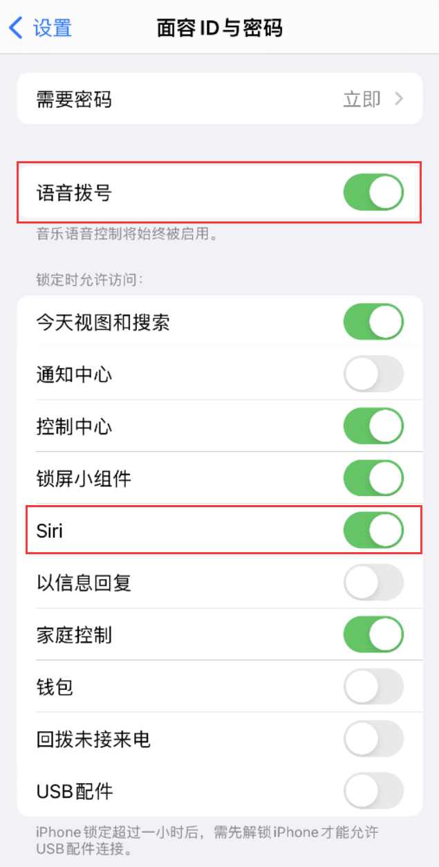 红花岗苹果维修网点分享不解锁 iPhone 的情况下通过 Siri 拨打电话的方法 