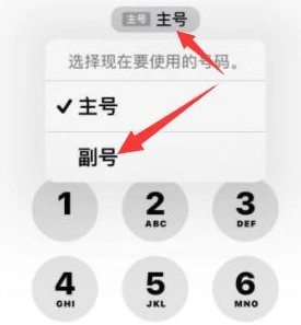 红花岗苹果14维修店分享iPhone 14 Pro Max使用副卡打电话的方法 