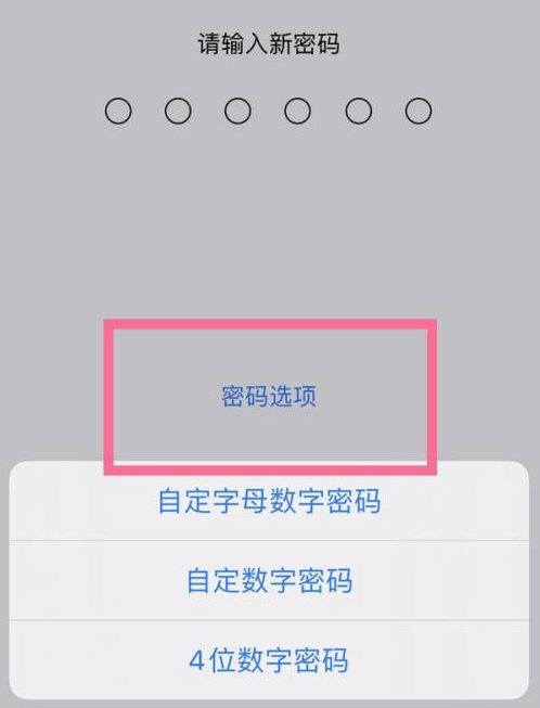 红花岗苹果14维修分享iPhone 14plus设置密码的方法 