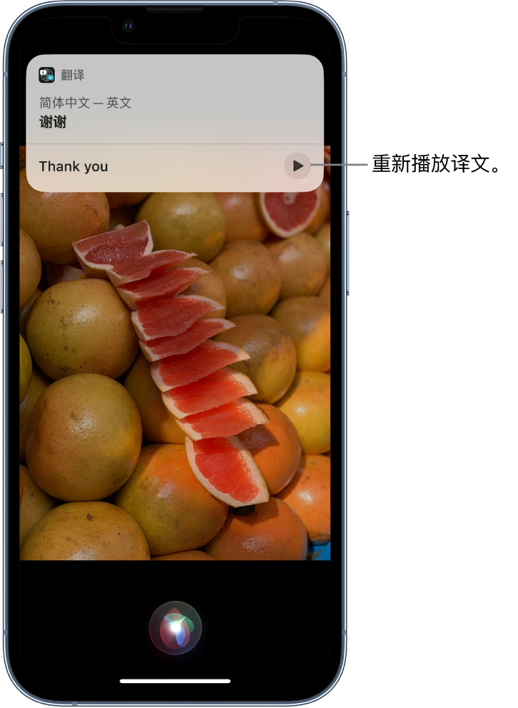 红花岗苹果14维修分享 iPhone 14 机型中使用 Siri：了解 Siri 能帮你做什么 