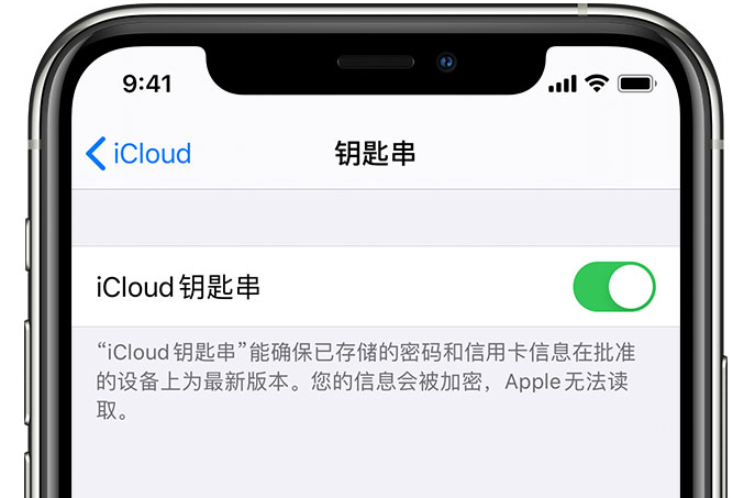 红花岗苹果手机维修分享在 iPhone 上开启 iCloud 钥匙串之后会储存哪些信息 