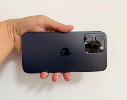 红花岗苹果维修点分享iPhone 14 Pro Max发烫多重诱因剖析 